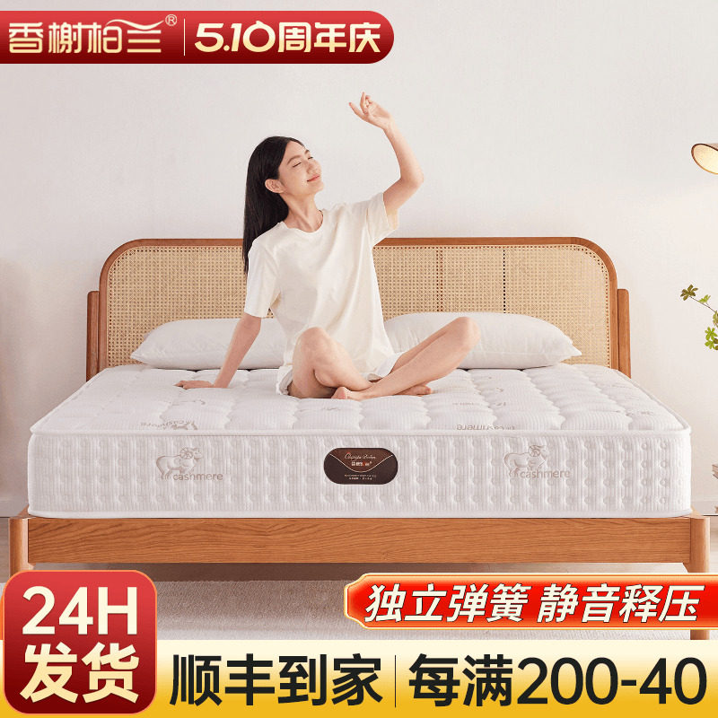 床垫家用卧室席梦思乳胶椰棕儿童袋装独立静音弹簧床垫厚20cm公分