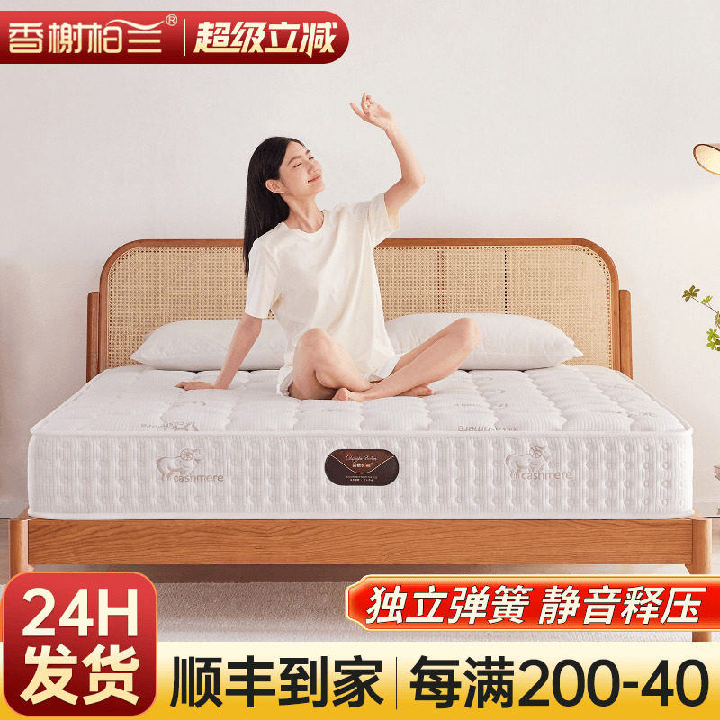 床垫家用卧室席梦思乳胶椰棕儿童袋装独立静音弹簧床垫厚20cm公分