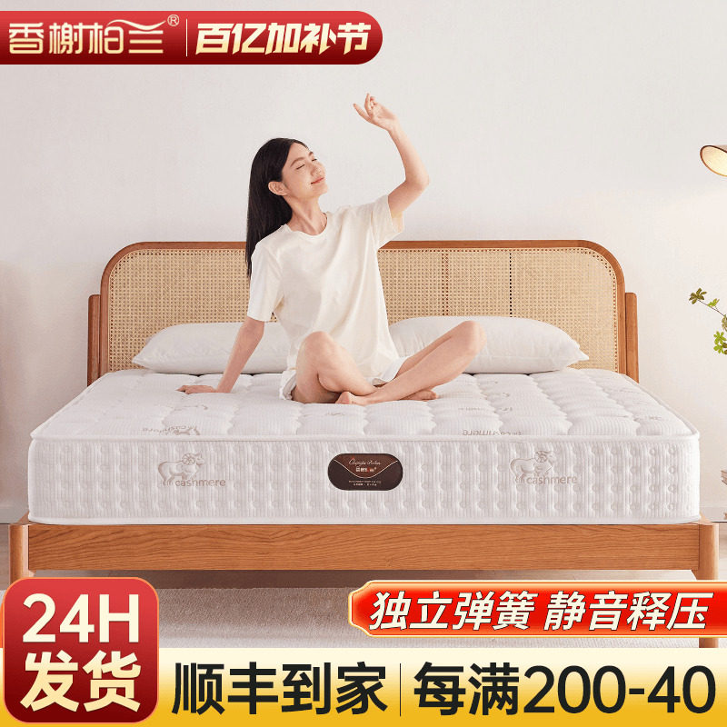 床垫家用卧室席梦思乳胶椰棕儿童袋装独立静音弹簧床垫厚20cm公分