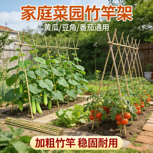 竹竿菜园搭架豆角黄瓜番茄爬藤架园艺篱笆围栏旗杆细竹子支撑支架