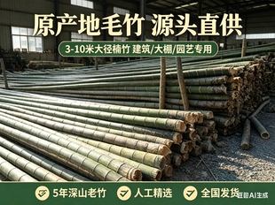 原产地毛竹粗竹竿园竹野生老竹加粗大竹竿子楠竹建筑大棚3-10米