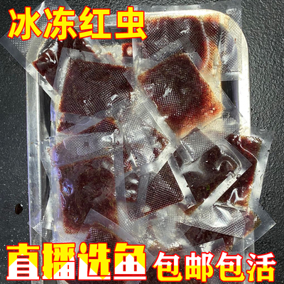顺丰包邮红虫七彩神仙热带鱼中国