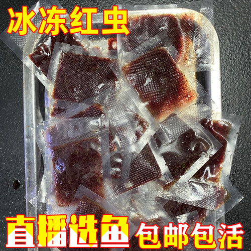 顺丰包邮红虫七彩神仙热带鱼中国