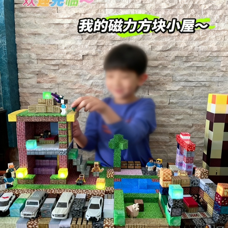 磁力方块枳木益智玩具