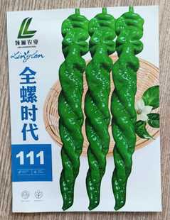 全螺时代111螺丝椒辣椒耐热性好膨果快大果螺丝椒螺丝椒微辣好种