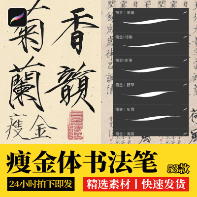 procreate笔刷瘦金体书法字体毛笔书写ipad手写行楷水墨枯墨签字
