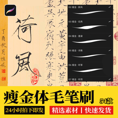 瘦金体书法procreate笔刷毛笔行楷字体古风水墨书写iPad手写