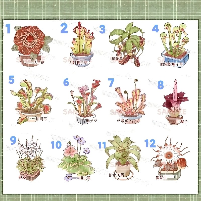 植物系列别针捕蝇草猪笼草pin魔芋大王花徽章亚克力包饰小礼物