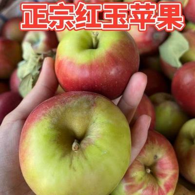 正宗东北老式红玉苹果新鲜老树
