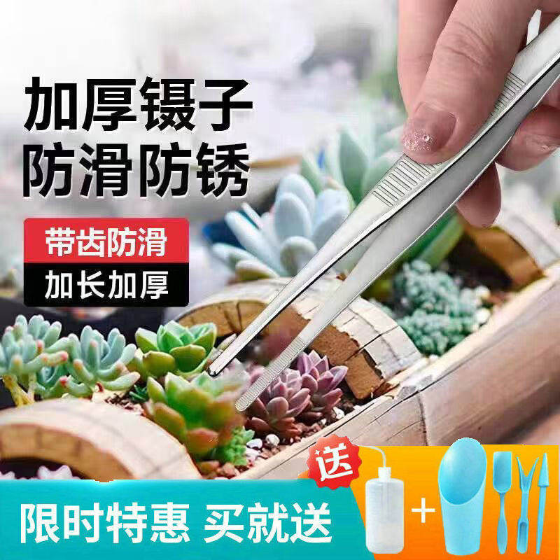 多肉镊子25厘米多规格磨砂304不锈钢加长加厚直头镊子多场景使用