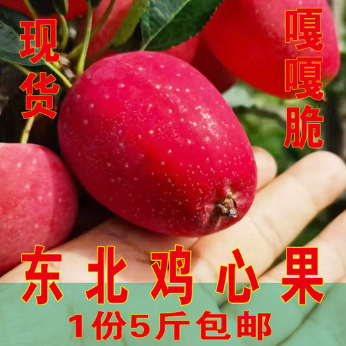脆甜多汁东北鸡心果沙果海棠果