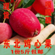 包邮 新鲜应季 东北鸡心果大秋果沙果海棠果龙丰果吉林苹果水果