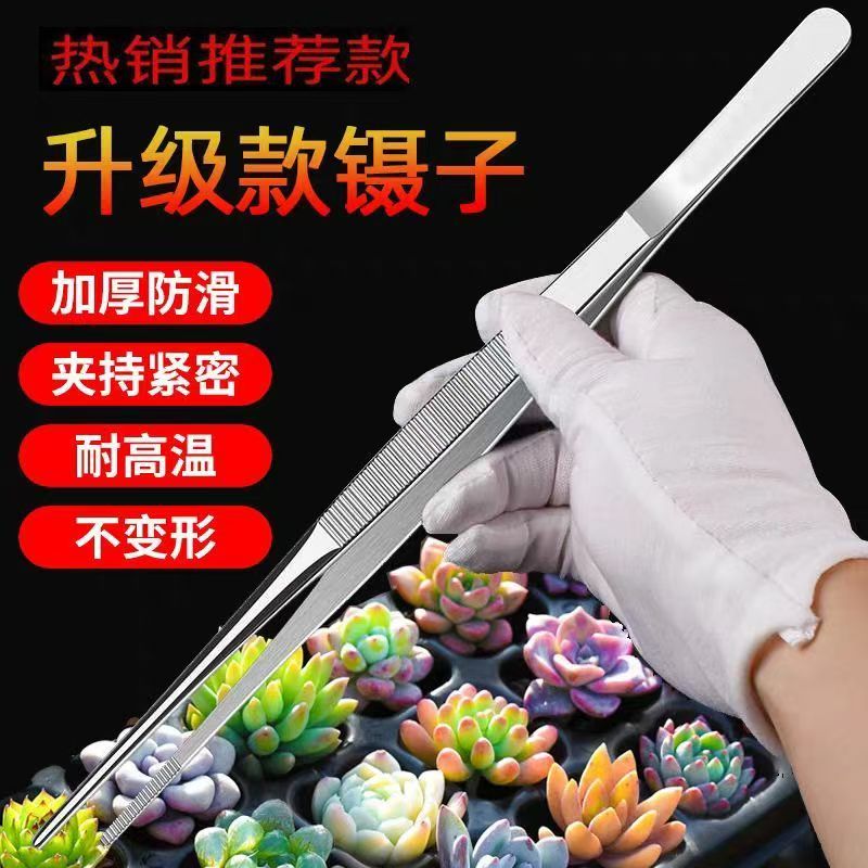 多肉镊子不锈钢夹子加长加厚直头弯头鱼缸水草昆虫敷料工具维修夹
