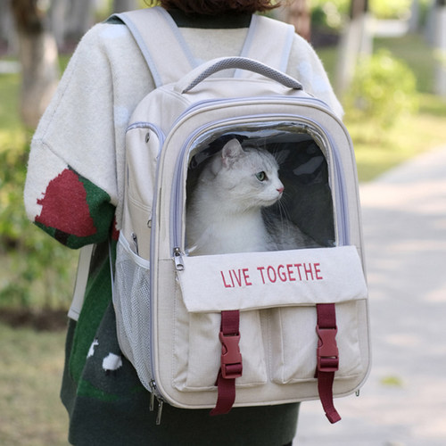 隐蔽防应激猫咪外出首选