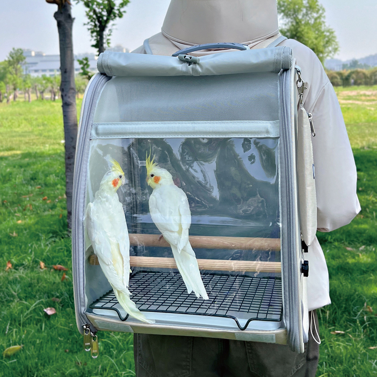 鹦鹉外出包便携鸟笼大号双肩背包透气轻便玄凤小太金阳太和尚牡丹,宠物/宠物食品及用品,鸟笼,淘宝优惠券,粉丝福利购,淘宝优惠卷