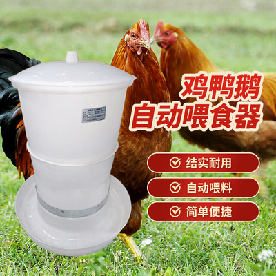 养鸡自动喂食器投料鸽子定时