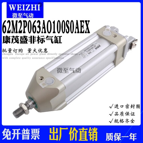 CAMZZI气缸62M2P063A0100S01EX BFT-063-0027-0 MDDT-11912-001