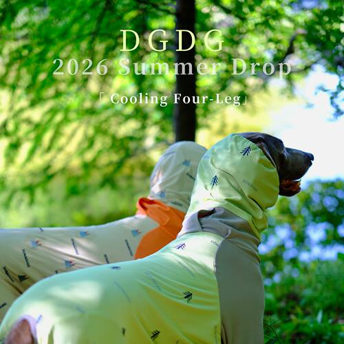 DGDG夏季高领凉感四脚衣