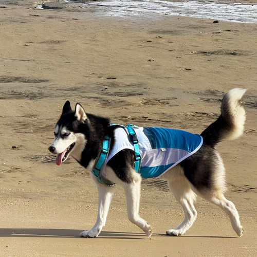 DGDG艺术家联名系列凉凉背心