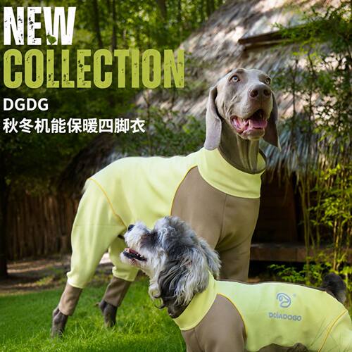 DGDG狗狗机能保暖服 2026秋季新款狗狗四脚冲锋衣 保暖防护服