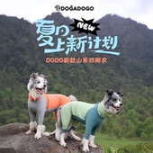 狗狗夏季 DGDG山系高领凉凉四脚衣 轻薄速干 夏季 四脚衣 2025新款