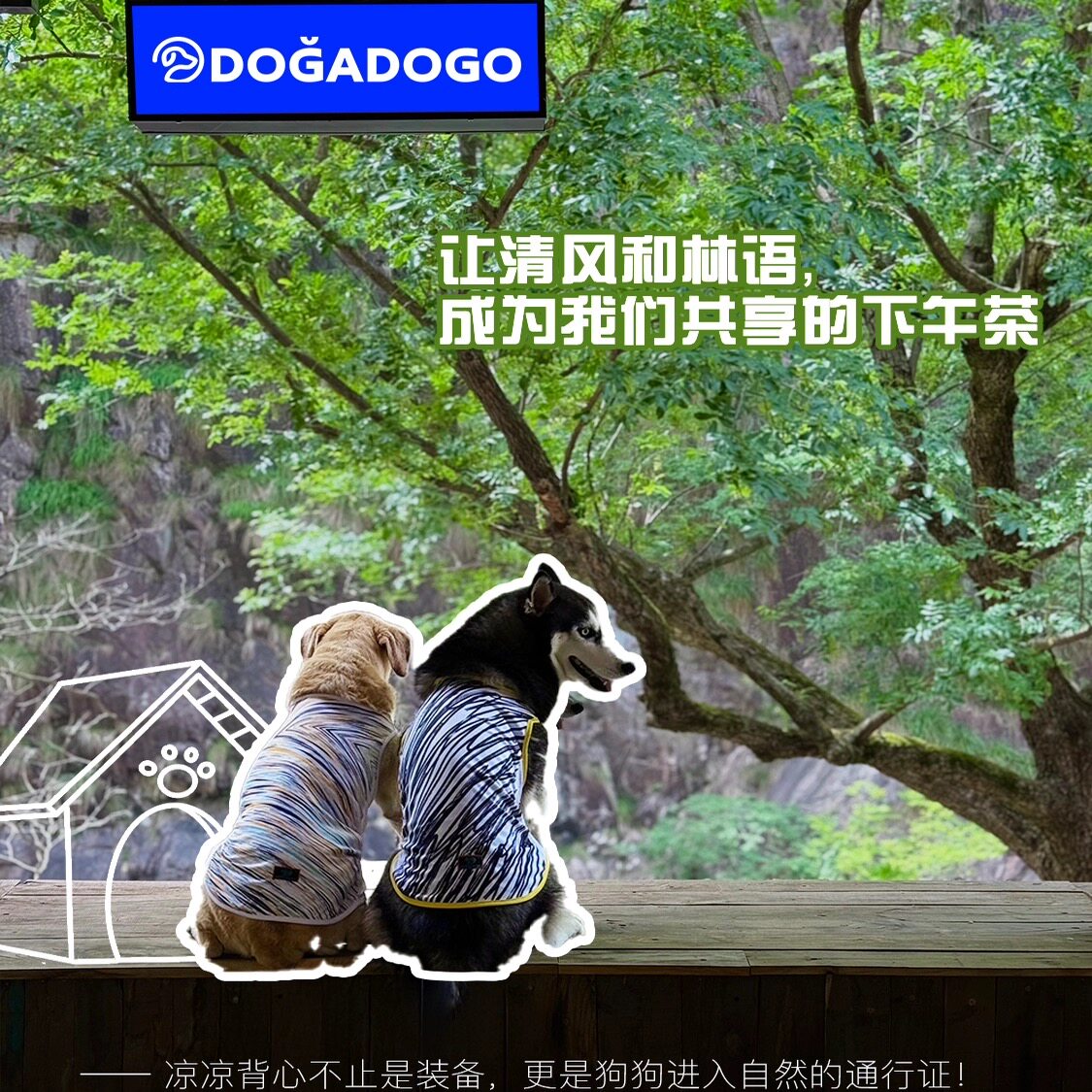 DGDG新款冰丝透气狗狗防晒衣