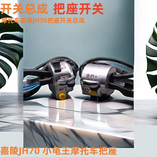 JH70小龟王左右把座开关总成组合