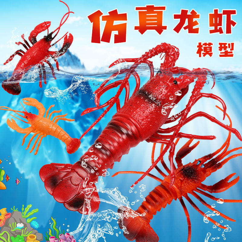 塑料仿真波士顿澳洲大龙虾模型海洋动物道具儿童早教玩具装饰摆件