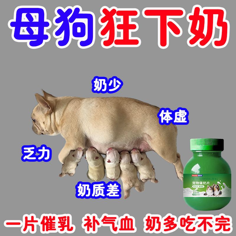 宠物催奶灵母狗产后乳猫