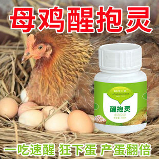 母鸡抱窝醒速效醒抱灵不让母鸡孵化扒窝抱窝灵番鸭醒窝饲料添加剂