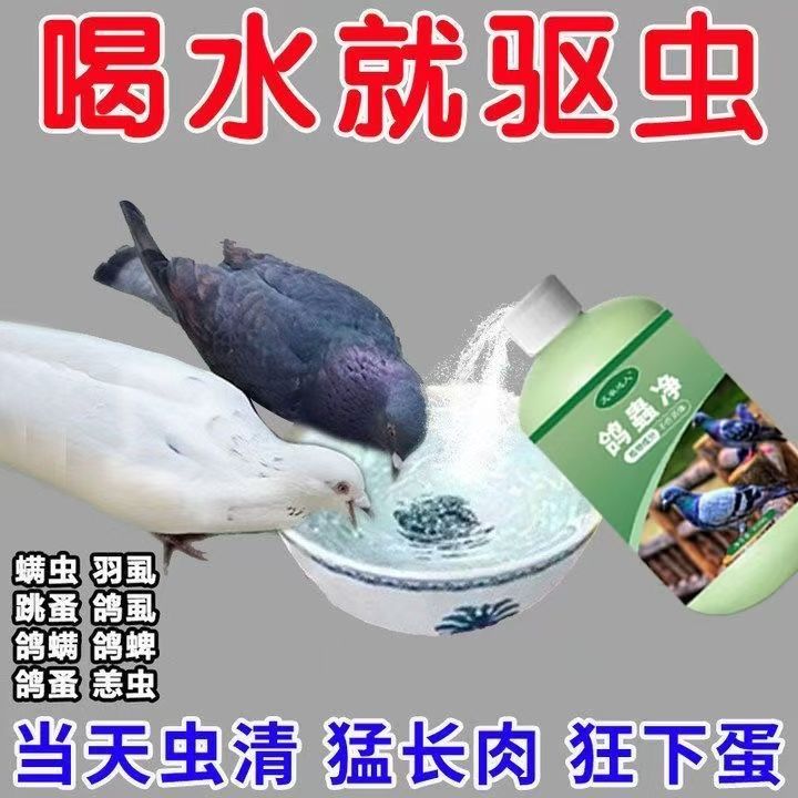 当天虫清】鸽子驱虫净通