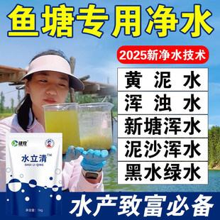 水立清浊水净池塘水质净化浑浊污水产养殖鱼塘变清净水剂鱼池净化