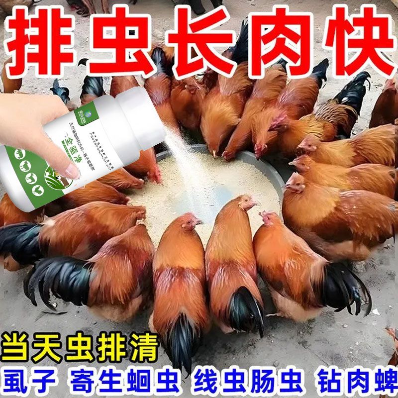 全驱净鸡鸭禽专用强效打