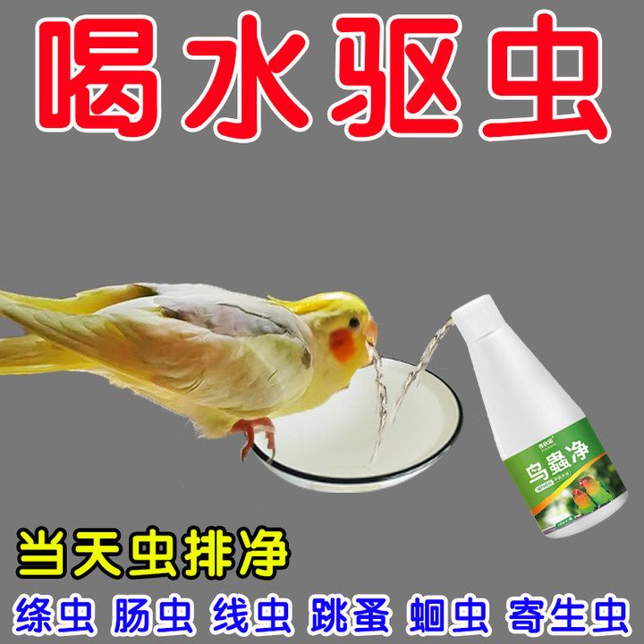 鹦鹉体内体外驱虫八哥鸽