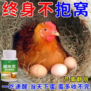 母鸡不抱窝速效醒抱灵补钙扒窝抱窝翻倍产蛋鸡鹅鸭醒抱灵养殖专用