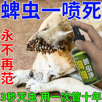 狗狗皮肤病宠物蜱虫专用驱虫药