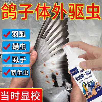 鸟体外驱虫药鸽子常啄毛
