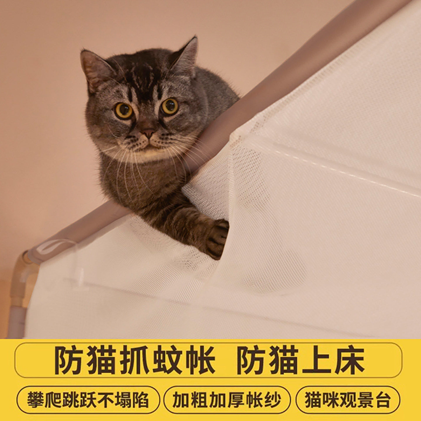 专用防猫抓蚊帐床罩帐篷床帘养猫咪家用卧室床幔床上防宠物结实