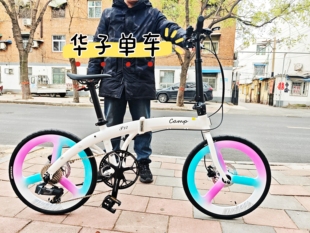 26款CAMP坎普p12折叠车电变电子变速11速碳纤维轮组油碟刹车451轮