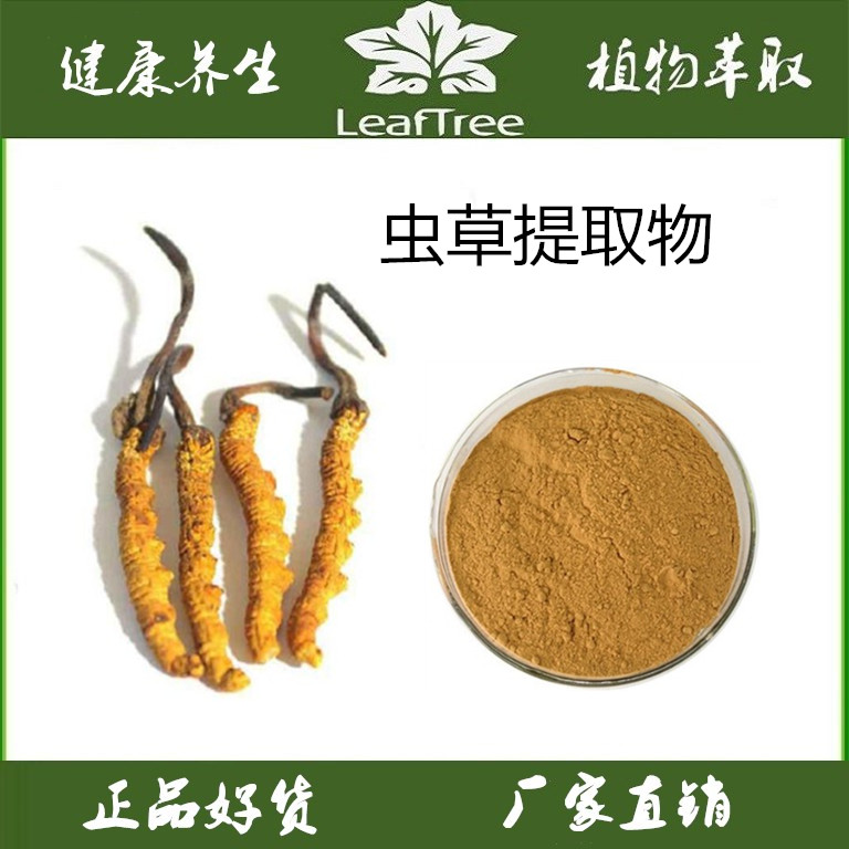 虫草提取物虫草素多糖萃取精华