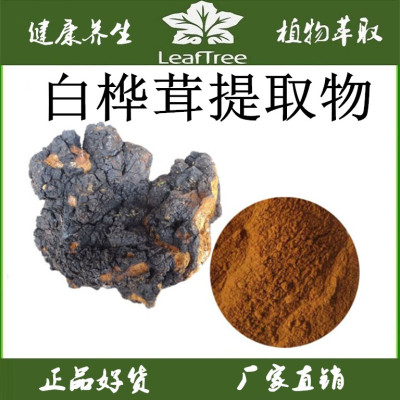 白桦茸提取物桦褐孔菌多糖