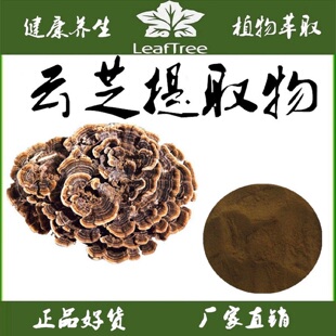 云芝提取物 云芝萃取精华粉云芝多糖70%云芝孢内多糖云芝真菌多糖