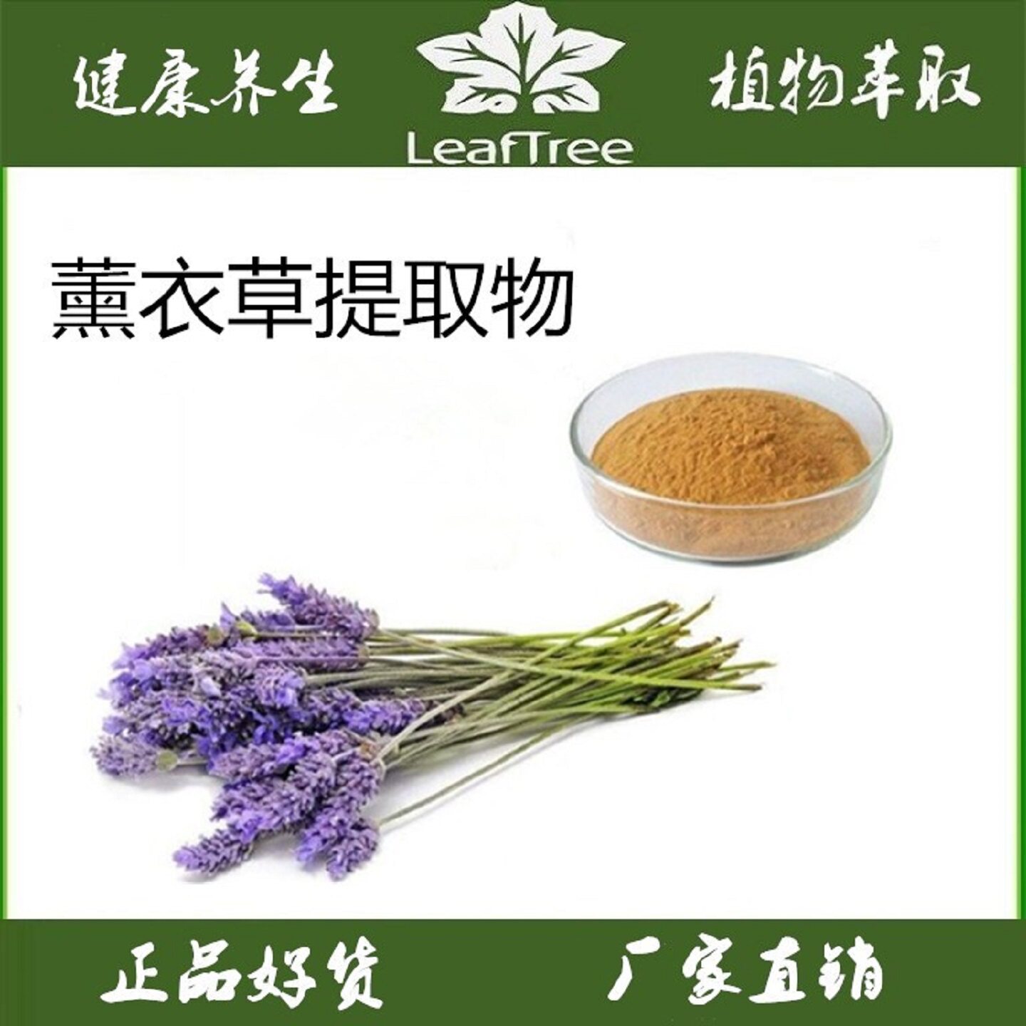 薰衣草提取物灵香草浓缩粉