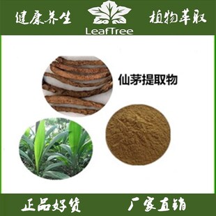 仙茅提取物 浓缩粉 独茅根免煎粉 水溶 地棕根萃取精华粉 送量勺