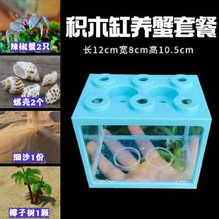 辣椒蟹迷你套餐宿舍小螃蟹桌面微景观儿童生日礼物生态缸懒人宠物