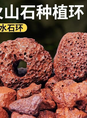 火山石水草定植环绿植固定神器水草沉底石红色打孔鱼缸造景环底座