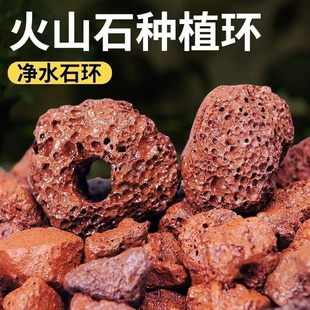 火山石水草定植环绿植固定神器水草沉底石红色打孔鱼缸造景环底座