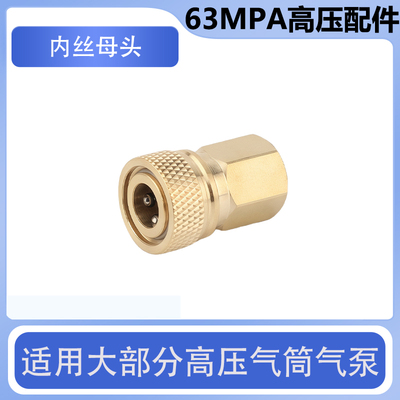高压打气筒8mm快接母头