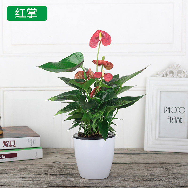 网友分享在meiguo.com的图片