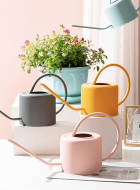 洒水壶浇花壶浇水壶田园乡村铁皮园艺多肉浇水壶园艺浇花壶长嘴